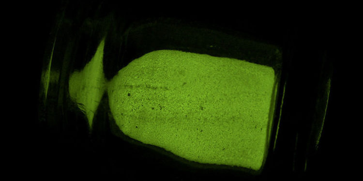 Volleback e la giacca che si illumina di notte