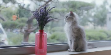 Incendio in casa? Lancia un vaso!