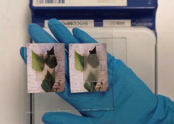 Assorbe e libera calore, è trasparente e resistente ai carichi. Il nuovo legno arriva dalla Svezia