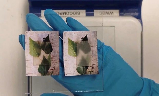 Assorbe e libera calore, è trasparente e resistente ai carichi. Il nuovo legno arriva dalla Svezia