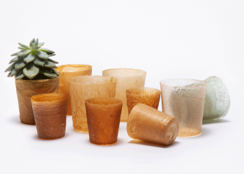 Shellworks, la bioplastica dalle aragoste