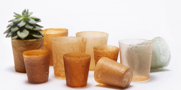 Shellworks, la bioplastica dalle aragoste