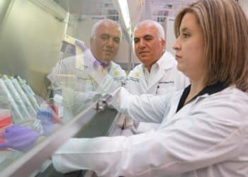 L’origine dell’autismo è negli alimenti trasformati: ecco lo studio