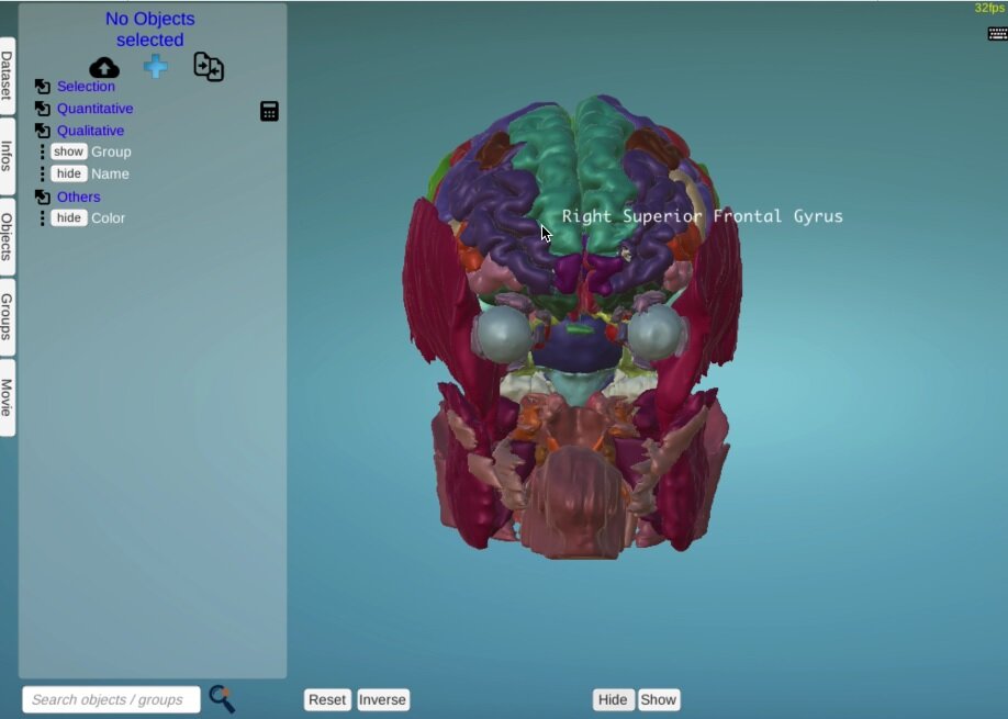 Morphonet: la rivoluzione della bioimaging