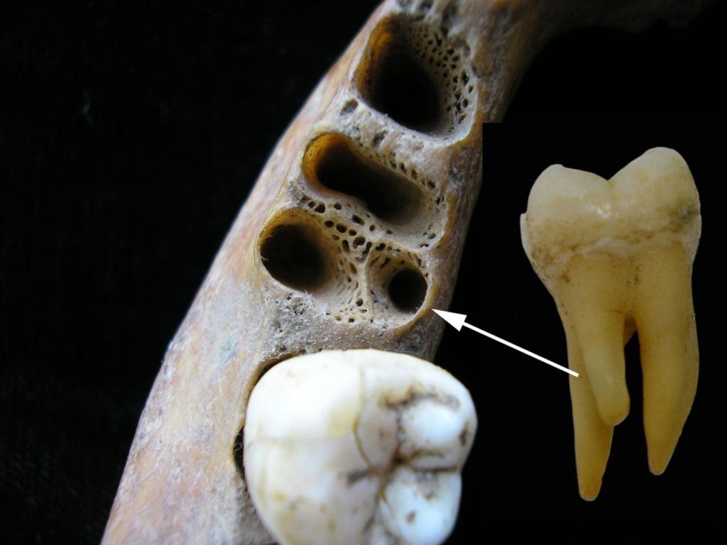 L’uomo arcaico incontra l’Homo Sapiens in Asia