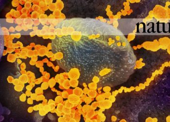 Vaccini contro il nuovo coronavirus, a che punto è la ricerca