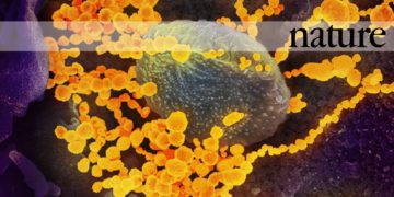 Vaccini contro il nuovo coronavirus, a che punto è la ricerca