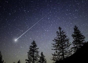 stelle cadenti liridi 21 aprile