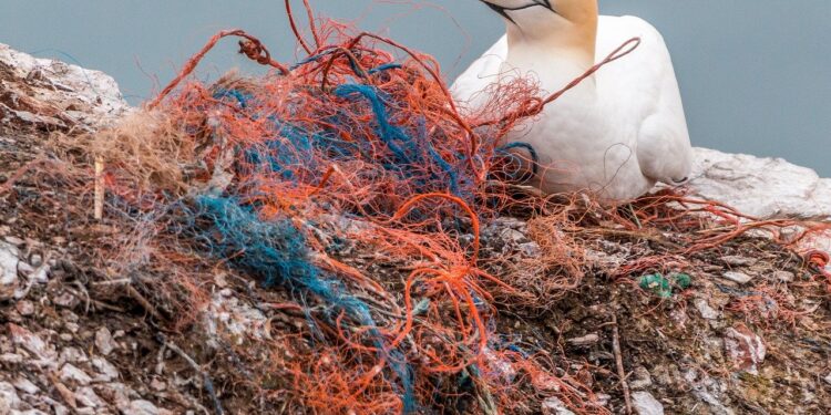 La nuova plastica per reti da pesca si degrada con la luce UV