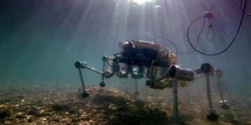 robot granchio plastica mare