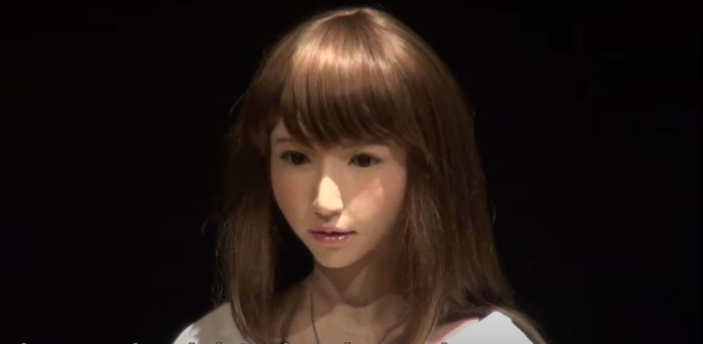 erica robot