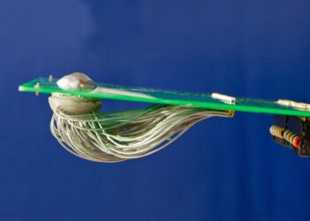 occhio bionico bionic eye www.ust.hk