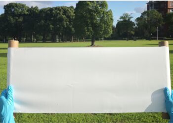 Rivestimento a raffreddamento passivo dai coleotteri dei vulcani