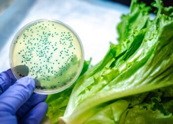 Trattamento antibatterico innovativo per le superfici metalliche