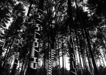 foresta parlante piegaro IOT