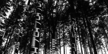 foresta parlante piegaro IOT