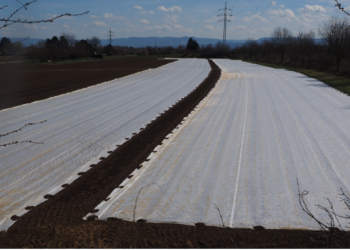 Gli innovativi tessuti-non-tessuti protettivi con aggiunta di piume