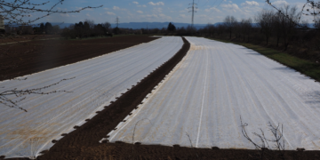 Gli innovativi tessuti-non-tessuti protettivi con aggiunta di piume