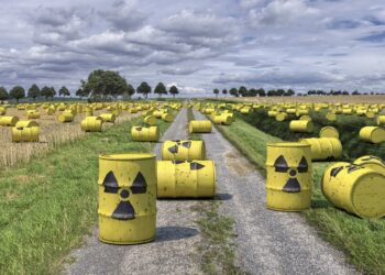 Reattore chimico per il ritrattamento dei combustibili nucleari