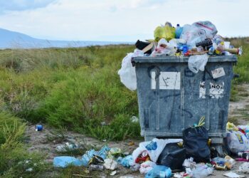 Ecco la plastica riciclabile all’infinito