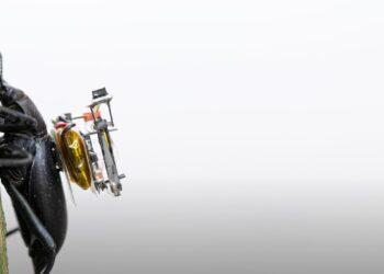 insetti microcamera zainetto