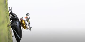 insetti microcamera zainetto