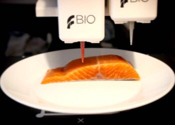 legendary vish salmone vegan stampa 3d