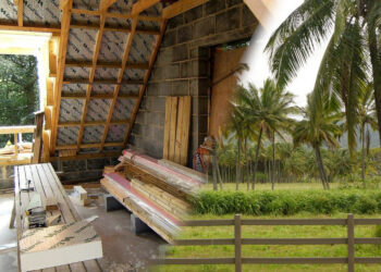 Le palme prendono nuovamente vita nei pannelli isolanti