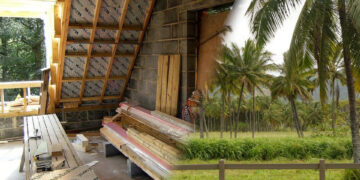 Le palme prendono nuovamente vita nei pannelli isolanti