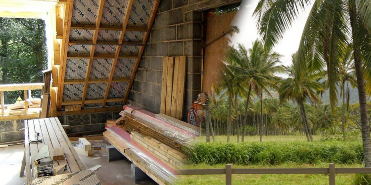 Le palme prendono nuovamente vita nei pannelli isolanti