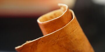 Nuova ecopelle prodotta dalla biomassa derivante dai funghi