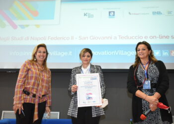 innovation village pelle