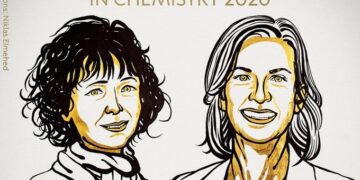 Premio Nobel 2020 in Chimica alle sviluppatrici del metodo di editing genetico