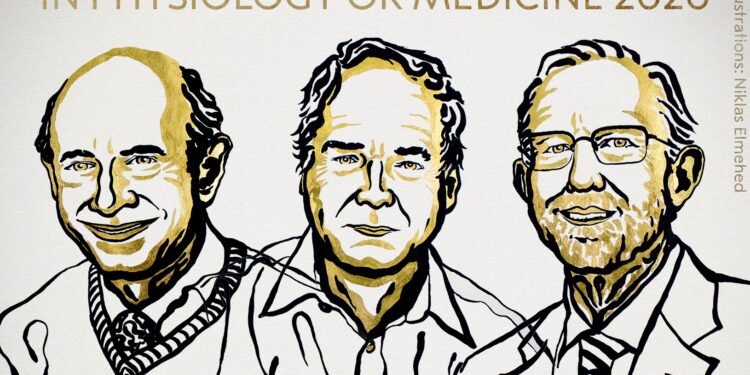 Premio Nobel per la Medicina 2020 agli scopritori dell’epatite C