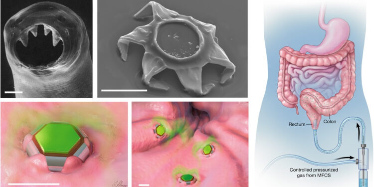 Il nuovo trasporto di medicine è ispirato ai parassiti