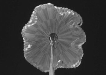 Paracadute supersonici, un passo avanti per i viaggi del futuro