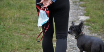 cani gatti contagiati coronavirus