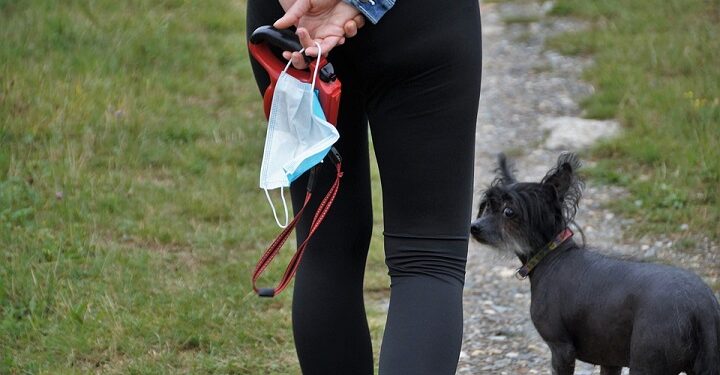 cani gatti contagiati coronavirus