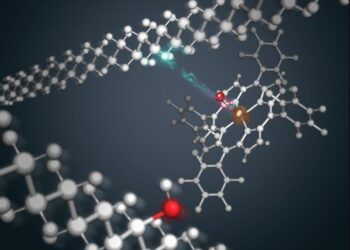 Un nuovo processo utilizza scarti di plastica per produrre adesivi