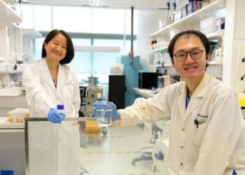 singapore finestra liquida