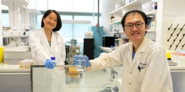 singapore finestra liquida