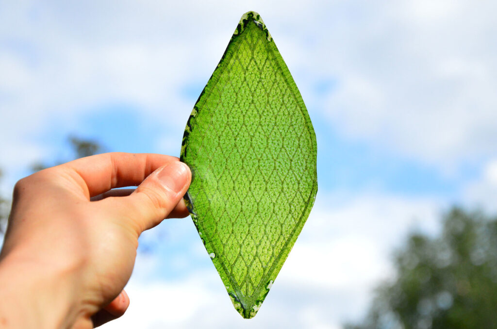 silk leaf foglia artificiale ossigeno