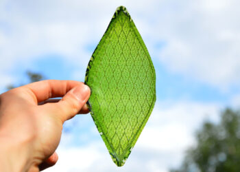 silk leaf foglia artificiale ossigeno