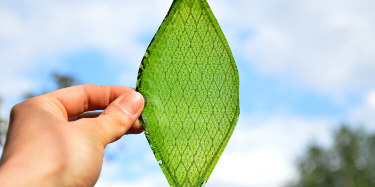 silk leaf foglia artificiale ossigeno