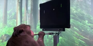 neuralink scimmia pong