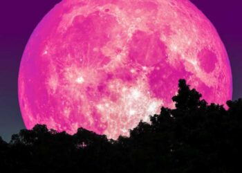 SUPER LUNA ROSA